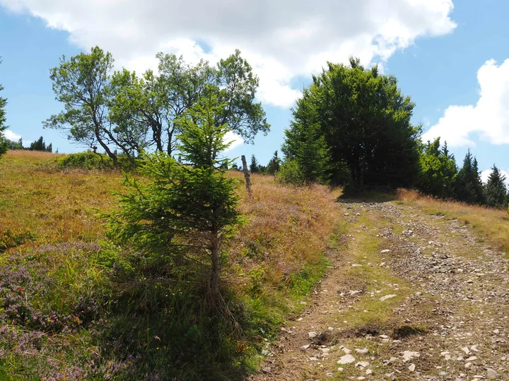 Le Grand Ballon (Frankrijk)